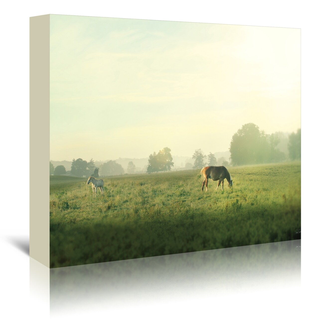 Farm Morning I by Wild Apple  Gallery Wrapped Canvas - Americanflat